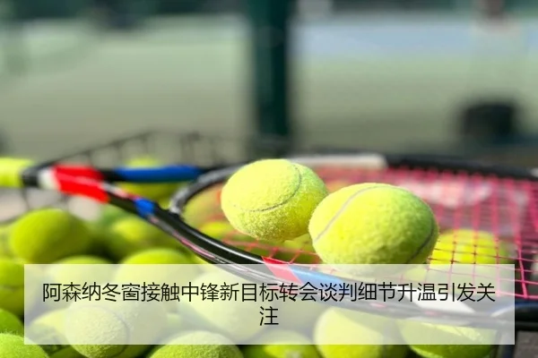 阿森纳冬窗接触中锋新目标转会谈判细节升温引发关注